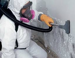 Best Industrial Mold Remediation  in Seminole, OK